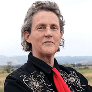 Portrait of Prof Temple Grandin